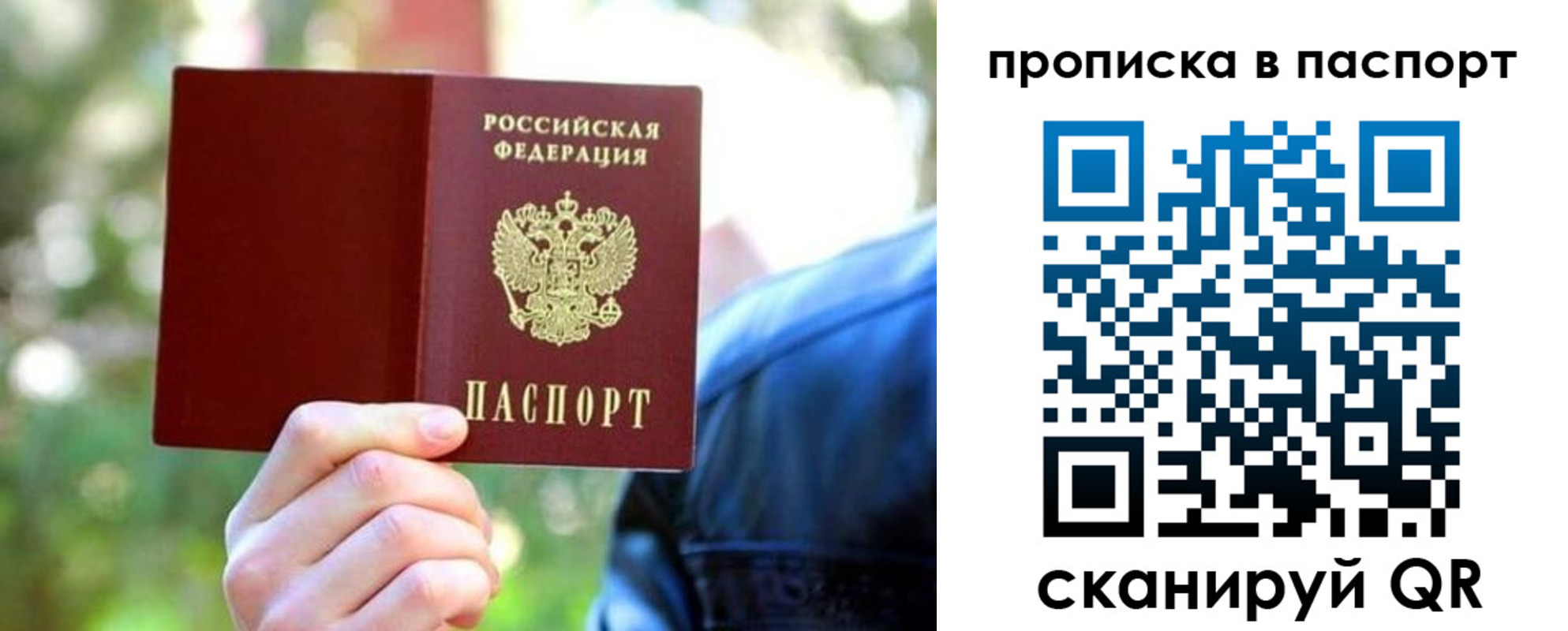 прописка иностранных граждан в Мончегорске