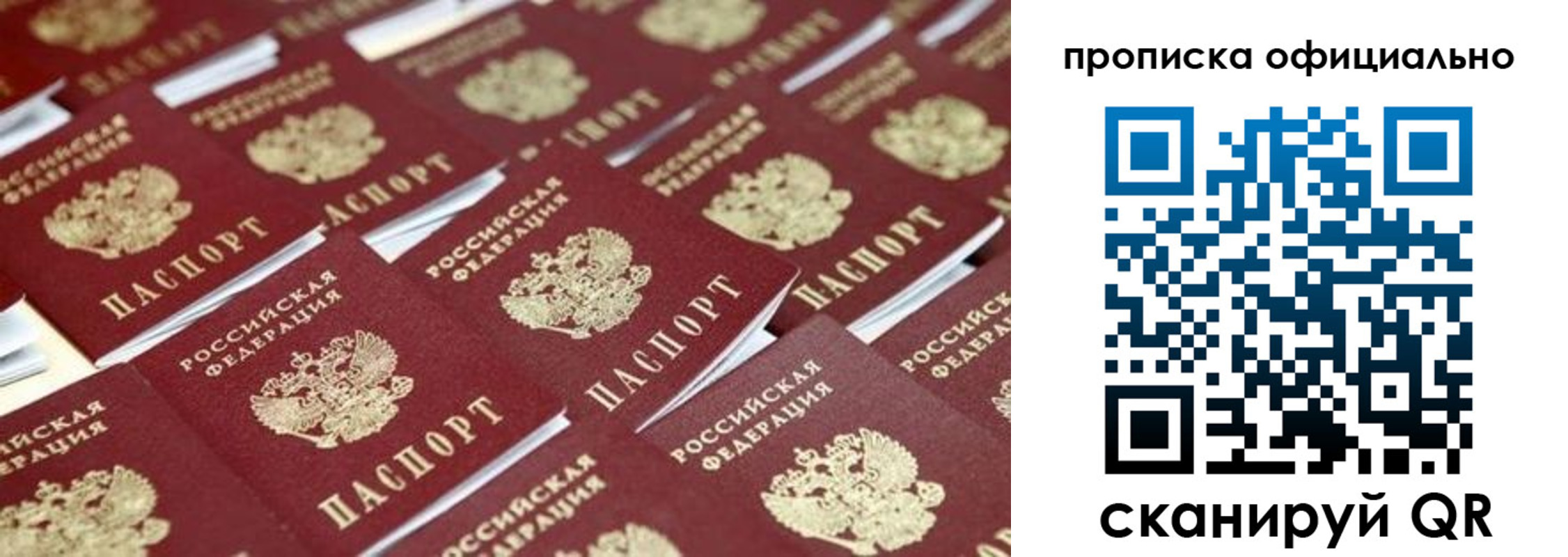 прописка гарантия в Мончегорске