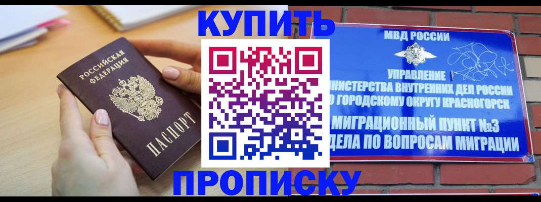 временная регистрация в Мончегорске